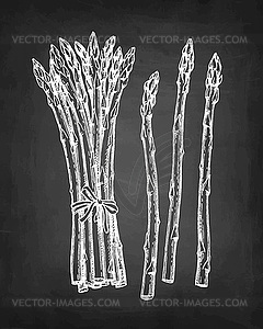 Chalk sketch of asparagus - vector clip art