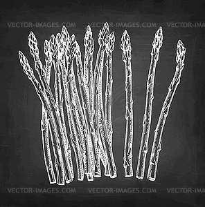 Chalk sketch of asparagus - vector image