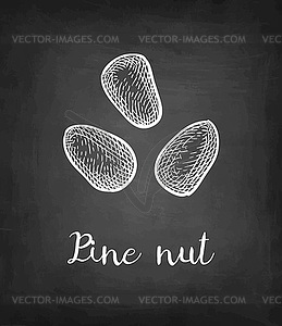 Chalk sketch of pine nut - vector EPS clipart