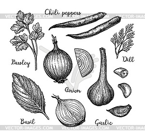 Ink sketch of cooking ingredients - vector clipart