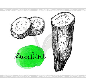 Ink sketch of zucchini - vector clipart / vector image