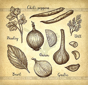 Ink sketch of food ingredients - vector image