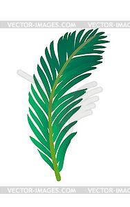 Palm tree leaf - vector clipart / vector image