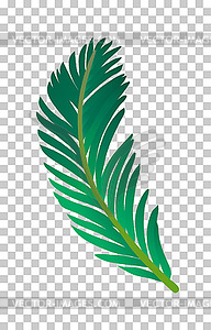 Palm tree leaf - color vector clipart