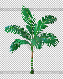 Пальма - векторный клипарт