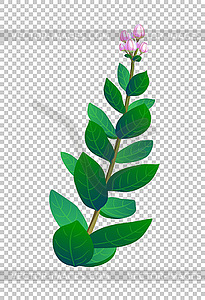 Indian plant - vector clip art