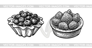 Ink sketch of fruit tarts with fresh berries - vector clipart