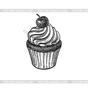 Cupcake with cherry - vector clipart