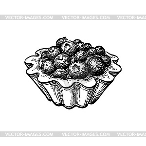 Ink sketch of fruit tart with fresh blueberries - vector clip art