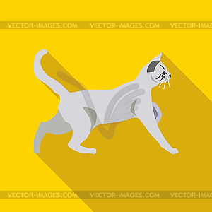 Cats of different breeds with long shadow - vector clipart