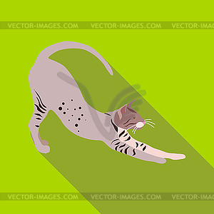 Cats of different breeds with long shadow - vector clipart