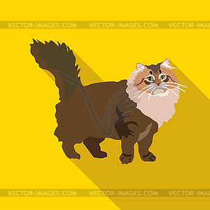 Cats of different breeds with long shadow - vector image