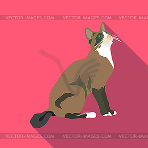 Cats of different breeds with long shadow - vector clipart