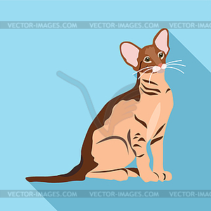 Cats of different breeds with long shadow - vector clipart