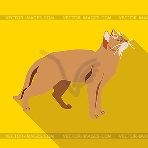 Cats of different breeds with long shadow - vector image