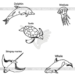 Морские обитатели с именами. Карандашный набросок от руки - векторный графический клипарт