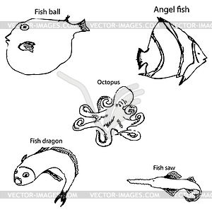 Marine inhabitants with names. Pencil sketch by hand - vector image
