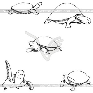 Turtles. Pencil sketch by hand - white & black vector clipart