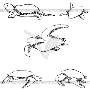 Черепахи. Карандашный набросок от руки - векторная графика