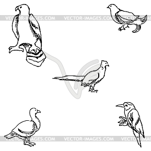 Birds. Pencil sketch by hand - vector clipart