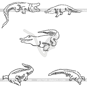 Crocodiles. Sketch pencil. Drawing by hand - vector clipart / vector image