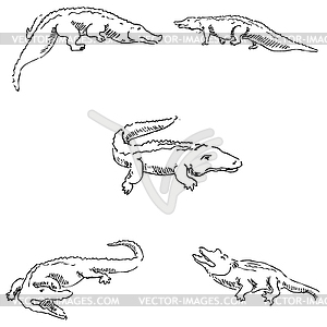 Crocodiles. Sketch pencil. Drawing by hand - vector image