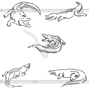 Crocodiles. Sketch pencil. Drawing by hand - vector clipart