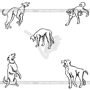 Dogs. Sketch pencil. Drawing by hand - vector clip art