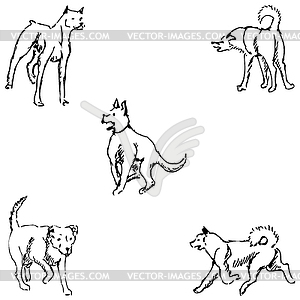 Dogs. Sketch pencil. Drawing by hand - vector clipart