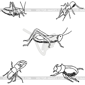 Insects. sketch by hand. Pencil drawing - vector clip art