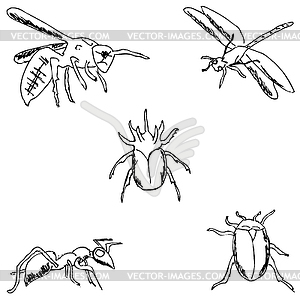 Insects. sketch by hand. Pencil drawing - vector image