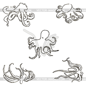 Octopus. A sketch by hand. Pencil drawing. Vector image - vector clip art