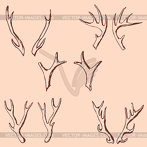 Horn sketch of deer. Pencil drawing by hand. Vintag - vector image