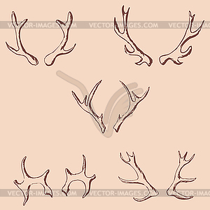 Horn sketch of a deer. Pencil drawing by hand. Vintage  - vector clip art
