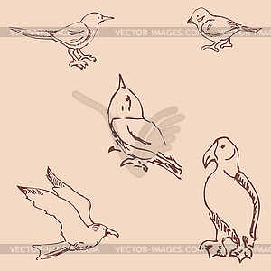 Birds. Pencil sketch by hand. Vintage colors - vector clipart