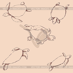 Turtles. Pencil sketch by hand. Vintage colors - vector image