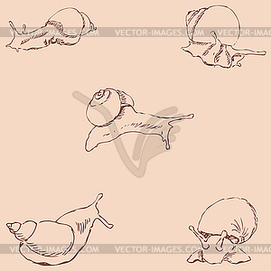 Snails. Pencil sketch by hand. Vintage colors - vector clipart