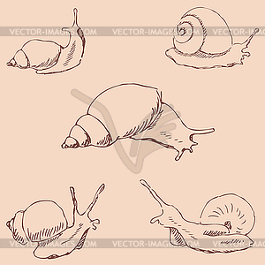 Snails. Pencil sketch by hand. Vintage colors - color vector clipart