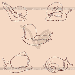 Snails. Pencil sketch by hand. Vintage colors - vector clipart