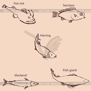 Marine inhabitants with names. Pencil sketch by hand - vector image