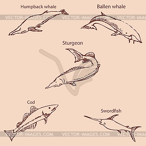 Marine inhabitants with names. Pencil sketch by hand - vector image