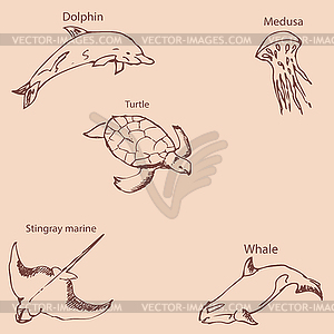 Marine inhabitants with names. Pencil sketch by hand - vector clipart