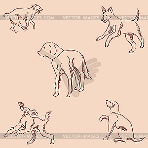 Dogs. Sketch pencil. Drawing by hand. Vintage colors - vector clipart