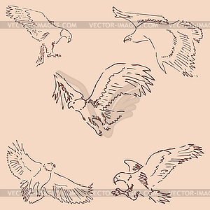 Eagles. Sketch pencil. Drawing by hand. Vintage colors  - color vector clipart