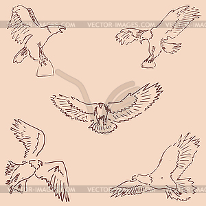 Eagles. Sketch pencil. Drawing by hand. Vintage colors  - vector image