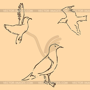 Seagulls sketch. Pencil drawing by hand. Figure in - vector image