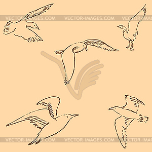 Seagulls sketch. Pencil drawing by hand. Figure in - vector EPS clipart