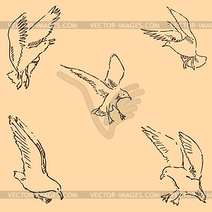 Seagulls sketch. Pencil drawing by hand. Figure in - vector clipart