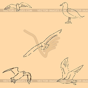 Seagulls sketch. Pencil drawing by hand. Figure in - vector image