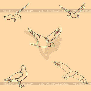 Seagulls sketch. Pencil drawing by hand. Figure in - vector clip art